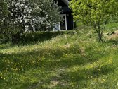 Ramioje Musės upės kilpoje, nedideliame - nuotraukos Nr. 23