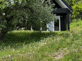 Ramioje Musės upės kilpoje, nedideliame - nuotraukos Nr. 24