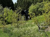 Ramioje Musės upės kilpoje, nedideliame - nuotraukos Nr. 25