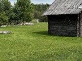Ramioje Musės upės kilpoje, nedideliame - nuotraukos Nr. 15
