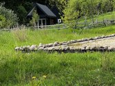 Ramioje Musės upės kilpoje, nedideliame - nuotraukos Nr. 17