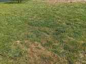 Parduodamas sklypas,stanciu km.kretingale