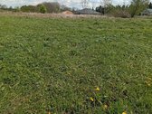 Parduodamas sklypas,stanciu km.kretingale - nuotraukos Nr. 3