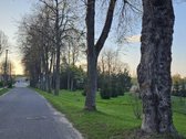 Parduodamas vienintelis toks rinkoje sklypas - nuotraukos Nr. 4