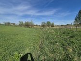 Parduodu 40 a žemės sklypą Maišiagaloje. - nuotraukos Nr. 6
