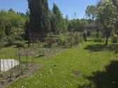 Šalia Tauragės parduodamas puikus,prižiūretas - nuotraukos Nr. 5
