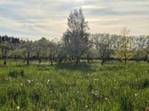 Šalia Kretingos m, Dupulčių km, Parduodami - nuotraukos Nr. 5