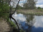 Parduodamas Sklypas Su Priėjimu Prie Upės – - nuotraukos Nr. 2
