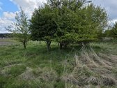 Parduodamas Sklypas Su Priėjimu Prie Upės – - nuotraukos Nr. 5