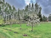 Rokiškio rajone, Salų miestelyje, parduodamas - nuotraukos Nr. 35