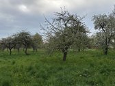 Puiki vieta poilsiui, gyvenimui ir verslui.  - nuotraukos Nr. 2