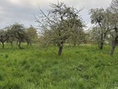 Puiki vieta poilsiui, gyvenimui ir verslui.  - nuotraukos Nr. 4