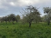 Puiki vieta poilsiui, gyvenimui ir verslui.  - nuotraukos Nr. 7