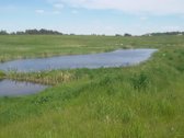 Parduodamas 2,1159 ha žemės ūkio paskirties