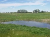 Parduodamas 2,1159 ha žemės ūkio paskirties - nuotraukos Nr. 2