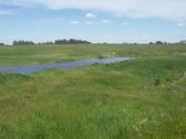 Parduodamas 2,1159 ha žemės ūkio paskirties - nuotraukos Nr. 3