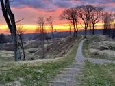 Sklypas svajonių namams šalia Kalniškės
