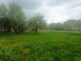 Molėtų raj., Balnininkų sen., Dapkūniškių - nuotraukos Nr. 10