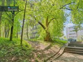 Parduodamas Unikalaus Ploto Butas Žirmūnų G. - nuotraukos Nr. 33