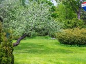 For sale: a countryside homestead in Utena - nuotraukos Nr. 19