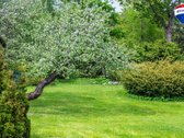 For sale: a countryside homestead in Utena - nuotraukos Nr. 19