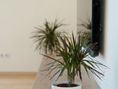 Parduodamas Išskirtinis, Kokybiškai Įrengtas - nuotraukos Nr. 12
