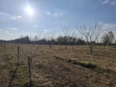 Parduodamas tręšnių ūkis. Viso parduodama 3 - nuotraukos Nr. 4