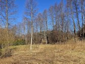 ** S/b "Šernai" Parduodamas Puikus Sklypas ** - nuotraukos Nr. 5