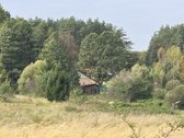 Parduodamas Erdvus Namų Valdos Sklypas Gamtos - nuotraukos Nr. 10