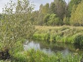 Parduodamas Erdvus Namų Valdos Sklypas Gamtos - nuotraukos Nr. 12
