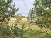 Parduodamas Erdvus Namų Valdos Sklypas Gamtos - nuotraukos Nr. 2
