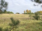 Parduodamas Erdvus Namų Valdos Sklypas Gamtos - nuotraukos Nr. 13