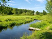 Parduodamas Erdvus Namų Valdos Sklypas Gamtos
