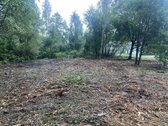 Parduodamas Namų Valdos Sklypas Kaune, Girios - nuotraukos Nr. 9