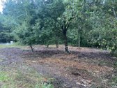 Parduodamas Namų Valdos Sklypas Kaune, Girios - nuotraukos Nr. 13