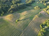 Parduodamas 30 hektarų ekologiškas obuolių
