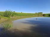 Parduodamas 4.3181 ha sklypas ramioje ir