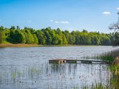 Atsikeliate ryte – paukščiai čiulba, pro - nuotraukos Nr. 15