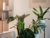 Parduodamas Išskirtinis 3 Kambarių Butas - nuotraukos Nr. 9