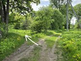 Ignalinos rajone, Dūdų kaime, parduodamas - nuotraukos Nr. 6