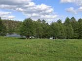 Sodybai priklauso autentiškas svirnas, rūsys,