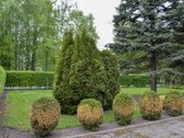 Parduodamas dar niekur nereklamuotas erdvus, - nuotraukos Nr. 10