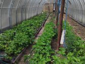 Parduodamas dviejų aukštų medinis / rąstinis - nuotraukos Nr. 18