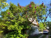 Žvėryno senojoje dalyje, ramioje vietoje, - nuotraukos Nr. 6