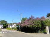 Žvėryno senojoje dalyje, ramioje vietoje, - nuotraukos Nr. 5