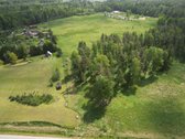 4,57 ha sklypas su 2 ha brandžiu mišku – - nuotraukos Nr. 8