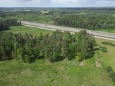 4,57 ha sklypas su 2 ha brandžiu mišku – - nuotraukos Nr. 35