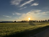 Sklypas su gyvenamojo namo statybos leidimu - nuotraukos Nr. 7