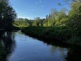 Ramioje Musės upės kilpoje, nedideliame - nuotraukos Nr. 3