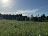 Ramioje Musės upės kilpoje, nedideliame - nuotraukos Nr. 8